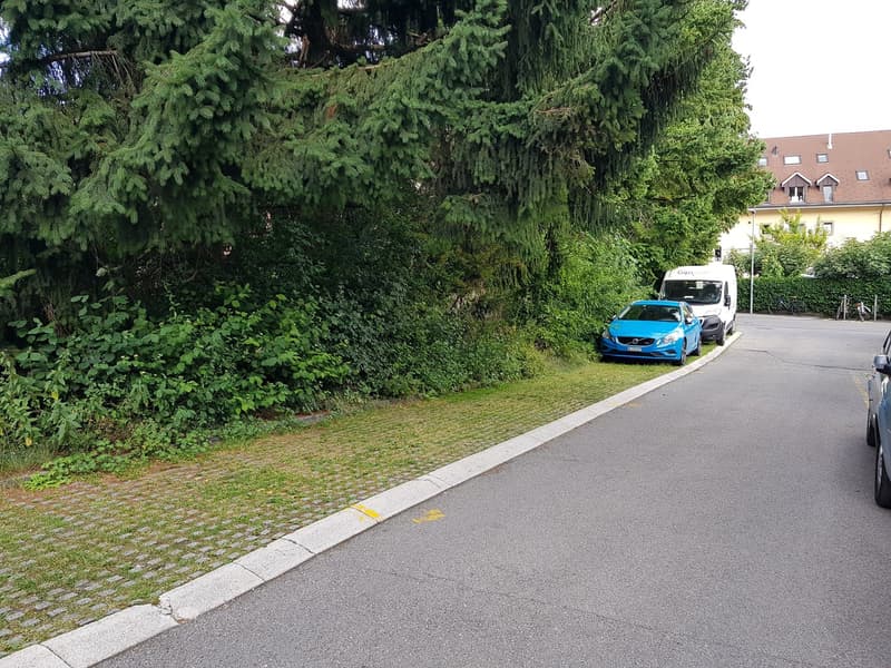 residential street, two cars parked on street, grass verge, two bicycles, building, trees