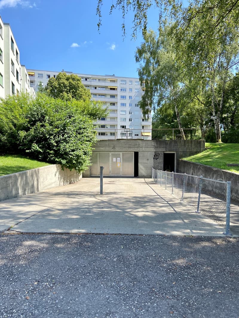 concrete surface with entrance to garage and wall on both sides