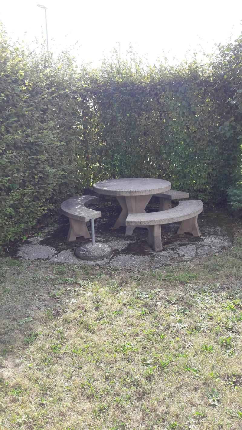 A concrete table with benches in a garden surrounded by a hedge