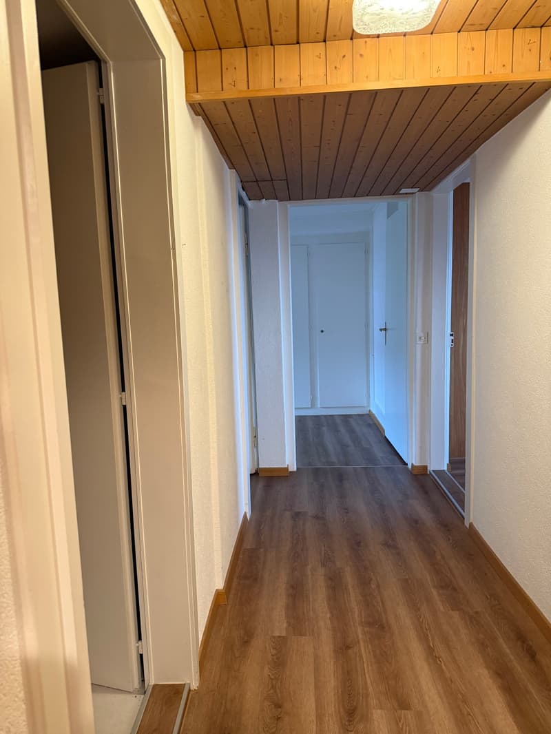 Empty hallway with wooden floor and white walls, wooden ceiling, doors on both sides