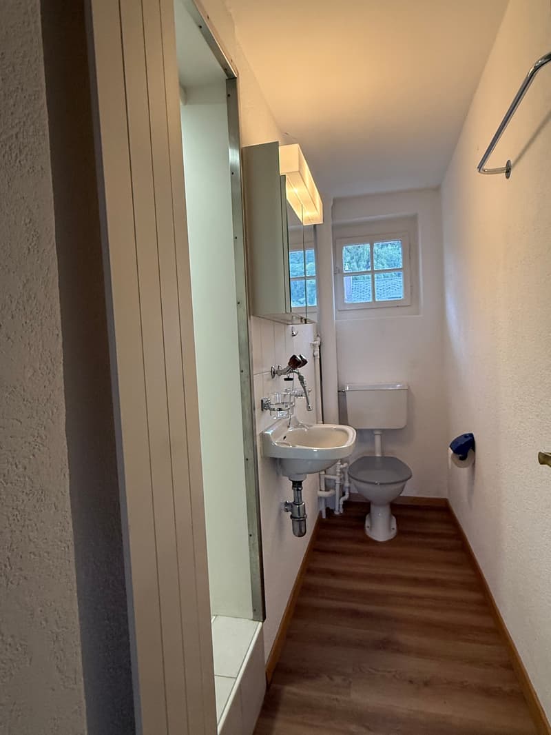 small bathroom with sink, toilet, and shower
