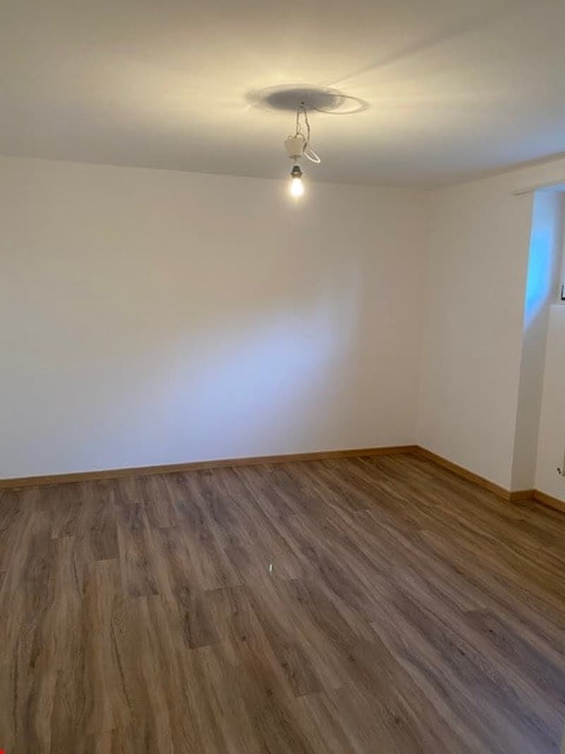 empty room, wooden floor, white walls, single light fixture