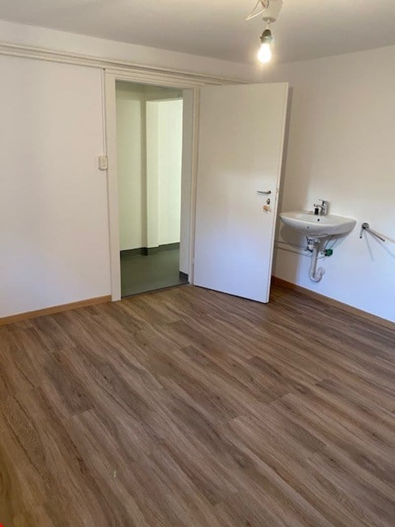 empty room, wooden floor, white walls, white door, sink, light