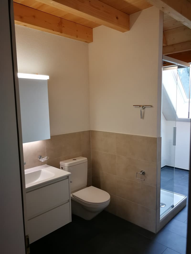 Bathroom with white toilet, sink, and cabinet. Tiled walls and wooden ceiling. Glass shower enclosure.