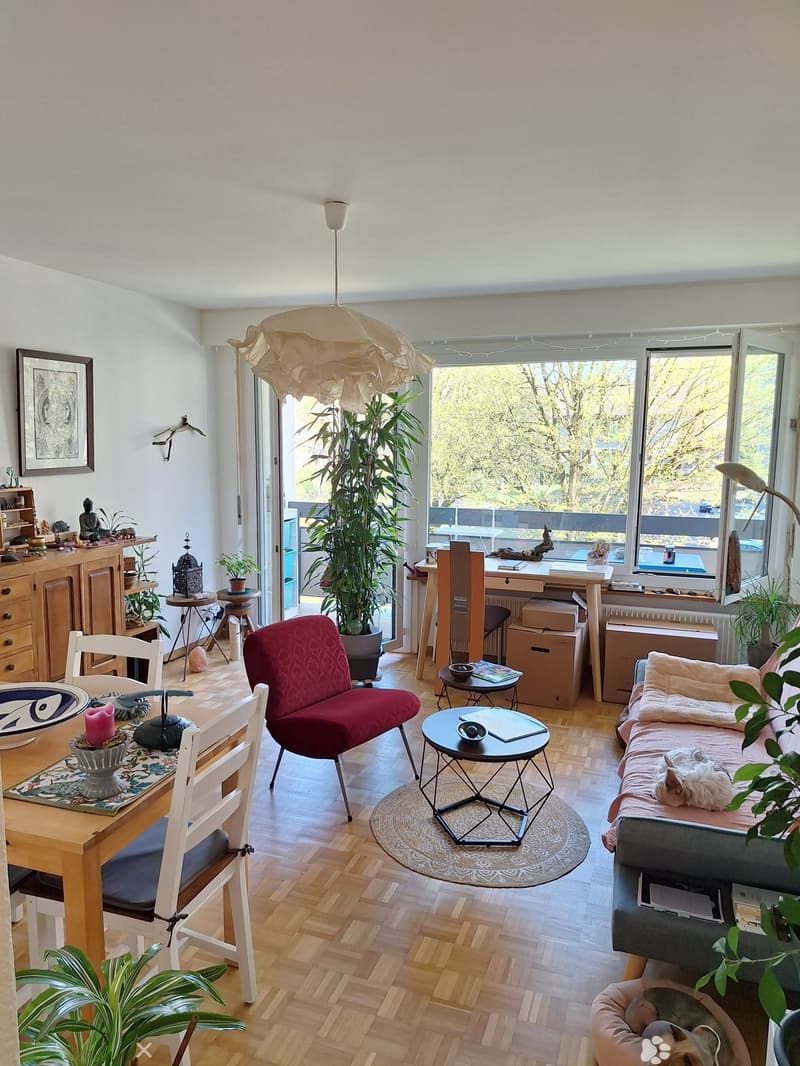 Grosszügige und moderne 2.5-Zimmerwohnung mit Balkon (2)