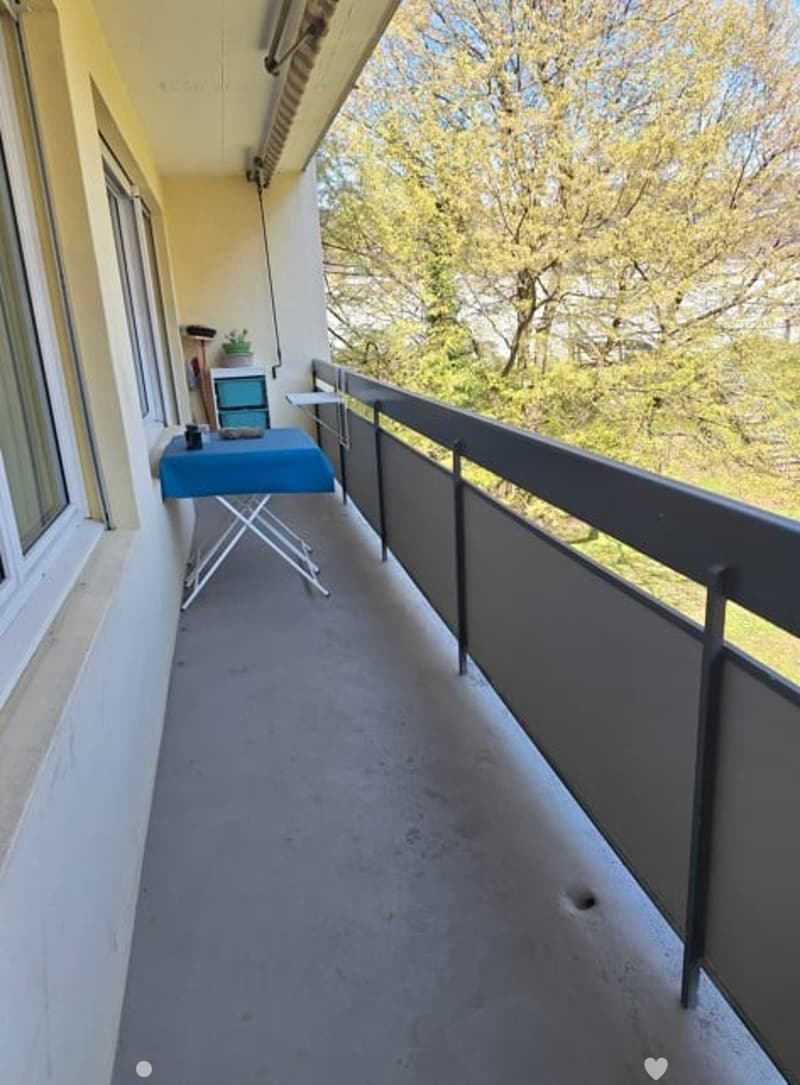 Grosszügige und moderne 2.5-Zimmerwohnung mit Balkon (1)