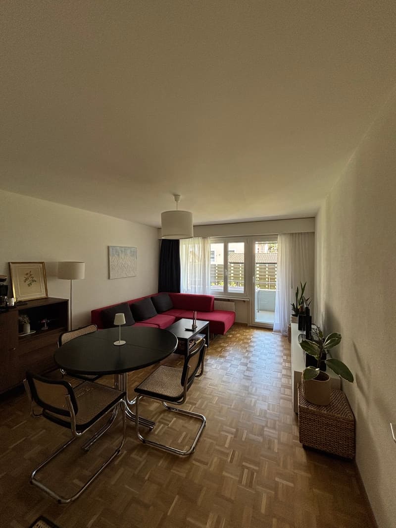 Appartamento di 2 camere ristrutturato con ampio balcone a Biel (5)