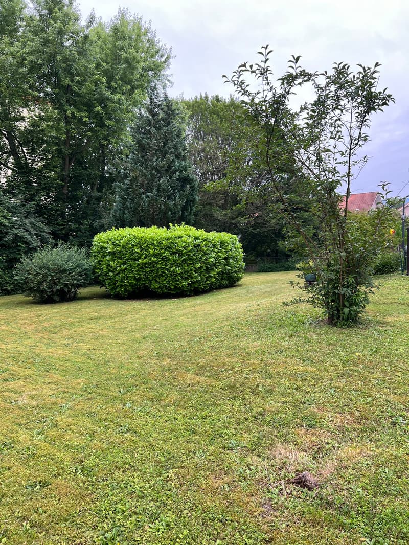 Garten Liegenschaft
