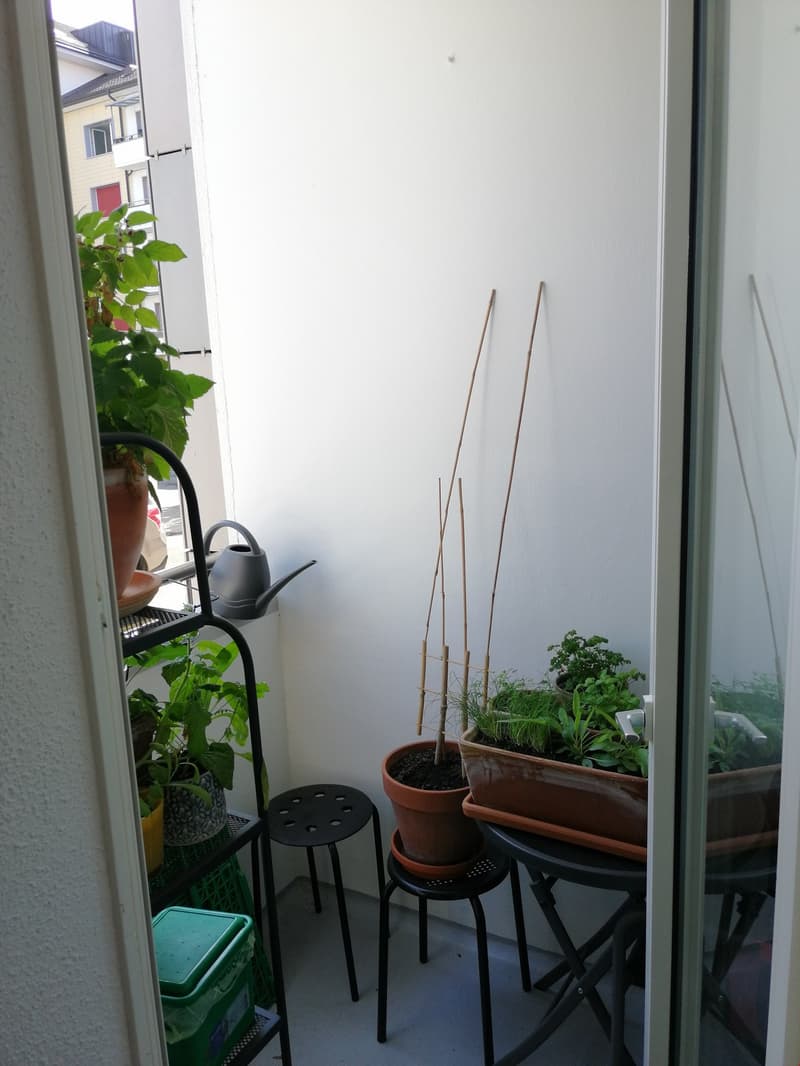 Appartement de 3 pièces calme et pourtant centralement situé (3)