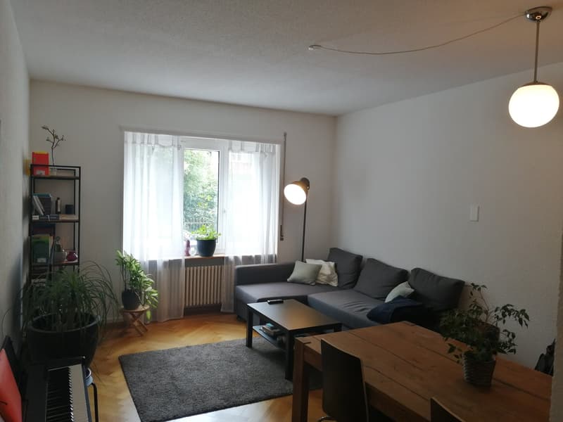 Appartement de 3 pièces calme et pourtant centralement situé (4)