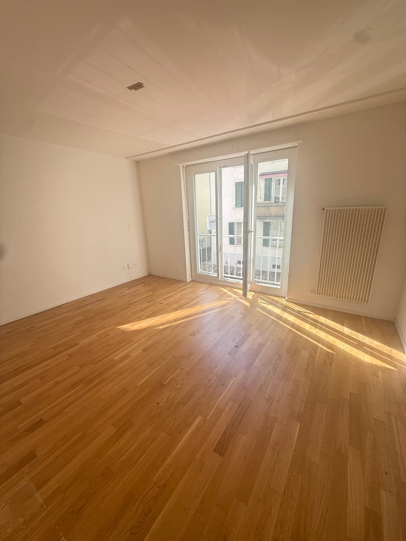 Appartement moderne et lumineux de 1,5 pièces au centre-ville (2)