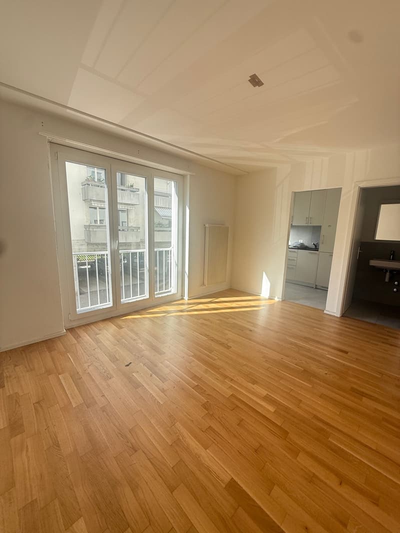 Appartement moderne et lumineux de 1,5 pièces au centre-ville (1)