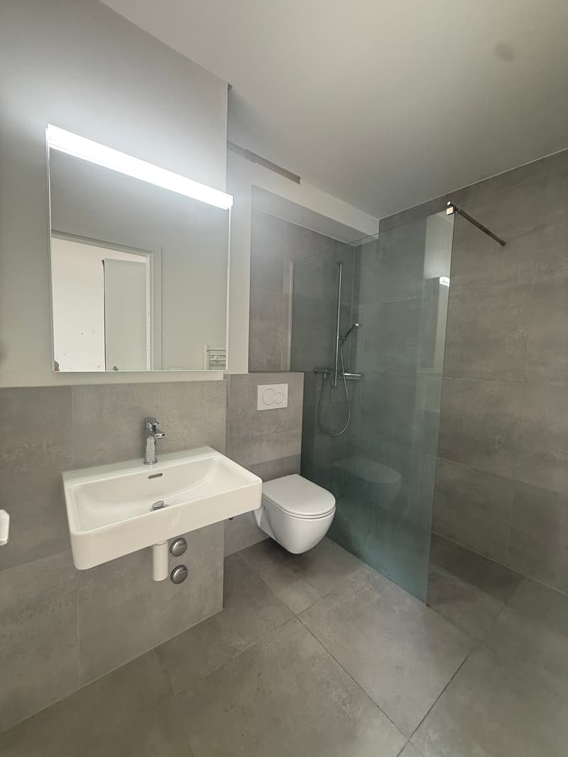 Appartement moderne et lumineux de 1,5 pièces au centre-ville (4)