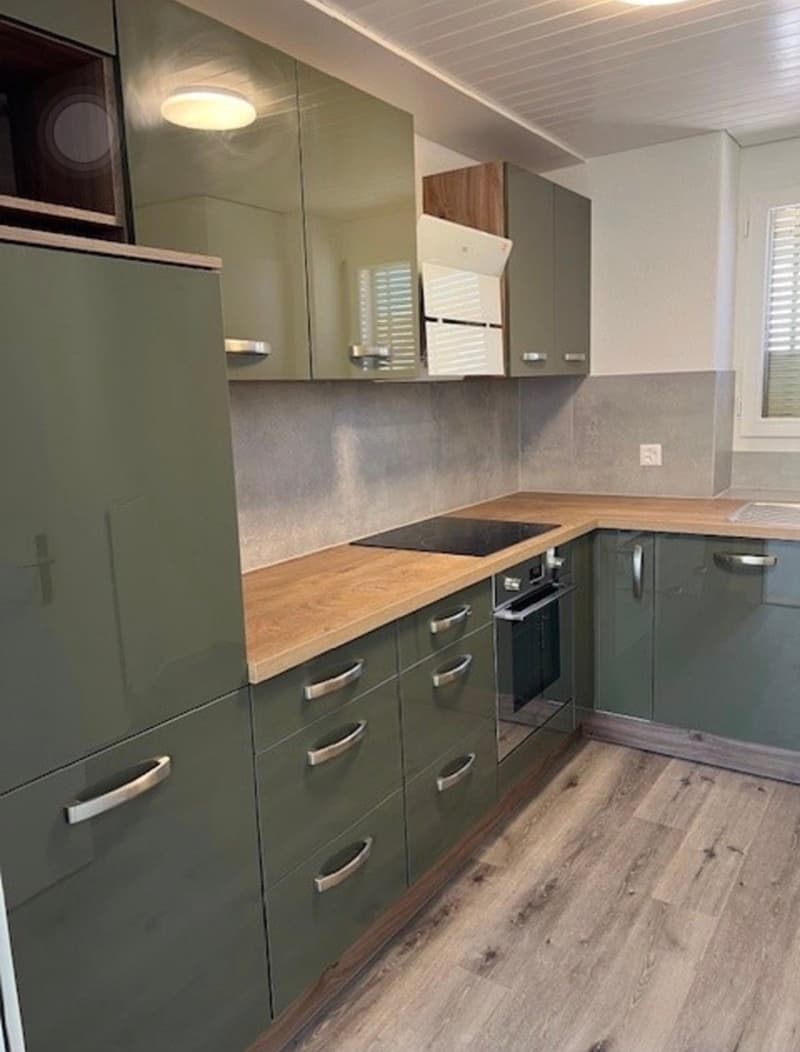 Appartement de charme 3 pièces avec rénovation moderne à Biel (1)