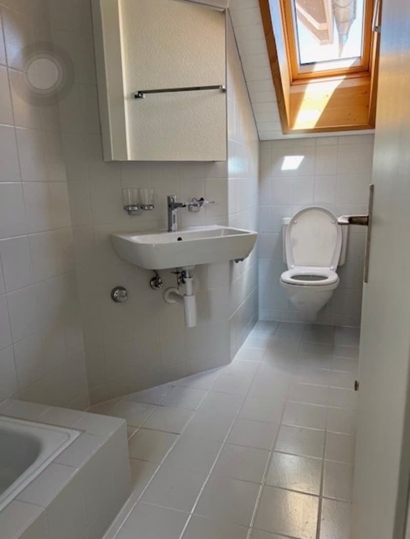 Appartement de charme 3 pièces avec rénovation moderne à Biel (6)