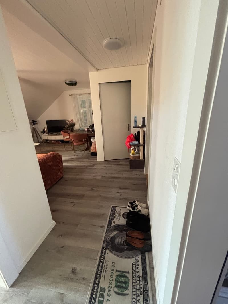 Appartement de charme 3 pièces avec rénovation moderne à Biel (5)