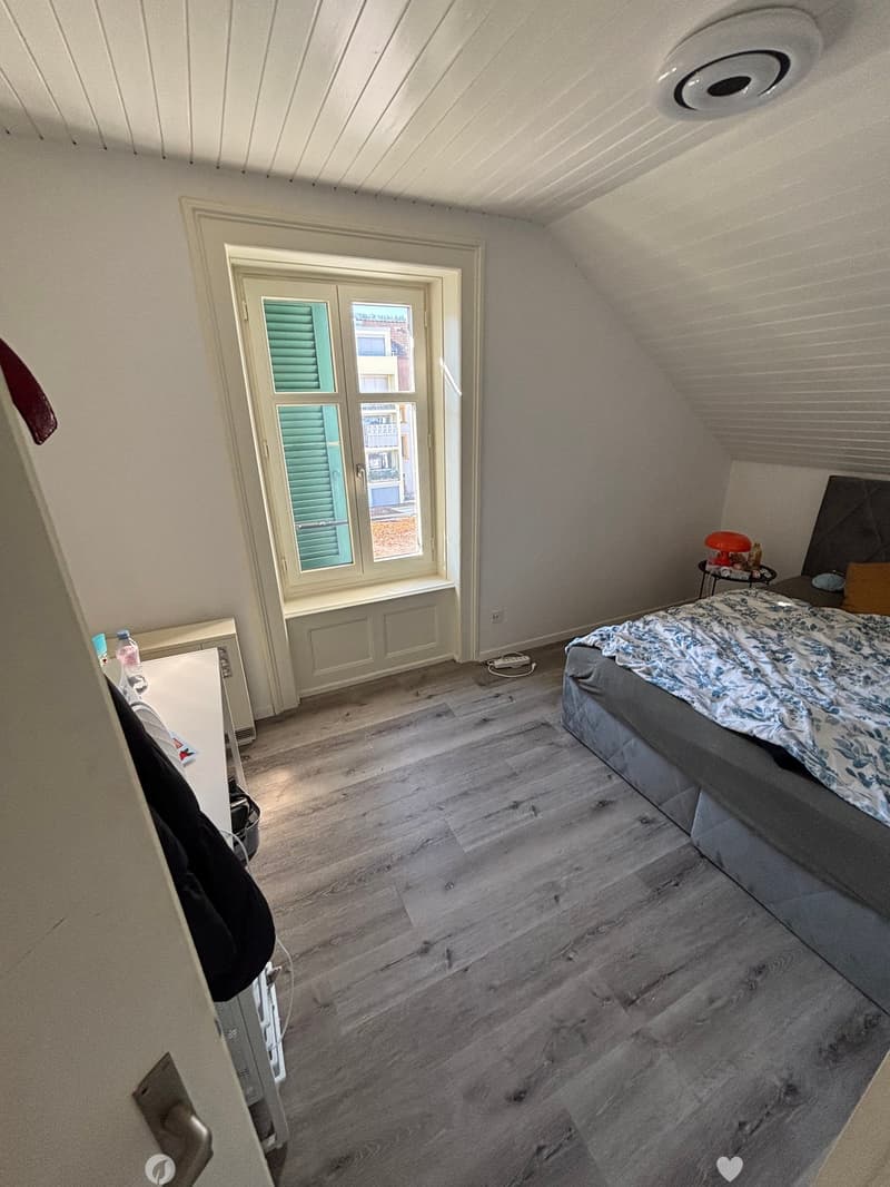 Charmante 3-Zimmer-Dachwohnung mit modernem Ausbau in Biel (7)