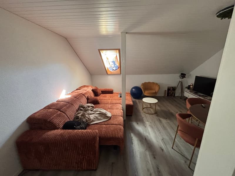 Appartement de charme 3 pièces avec rénovation moderne à Biel (3)