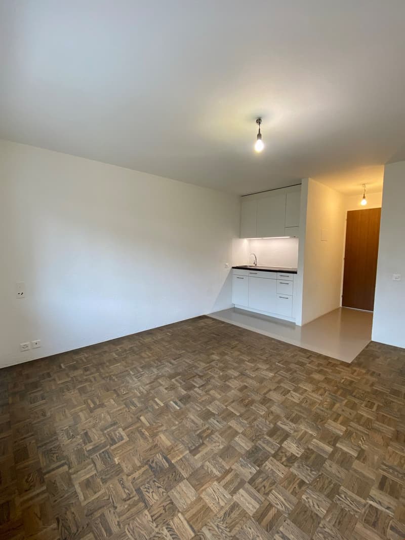 Modernes Studio am Friedweg 17, Biel (4)