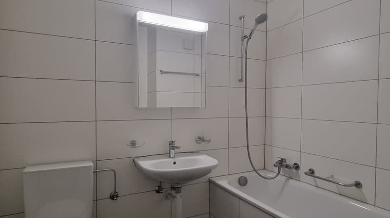 4 pièces lumineux de 100 m² au 3ème étage – rénové avec 2 salles de bains (2)