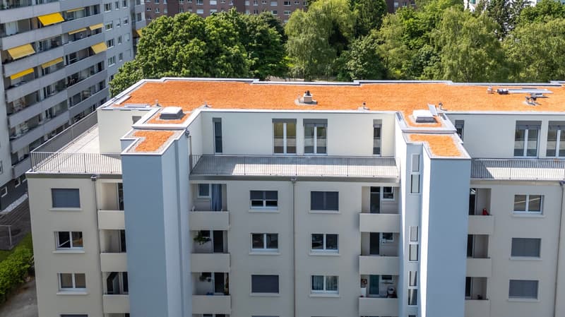 Moderne 2.5-Zimmer-Attikawohnung mit zwei grosszügigen Terrassen in Nidau (9)