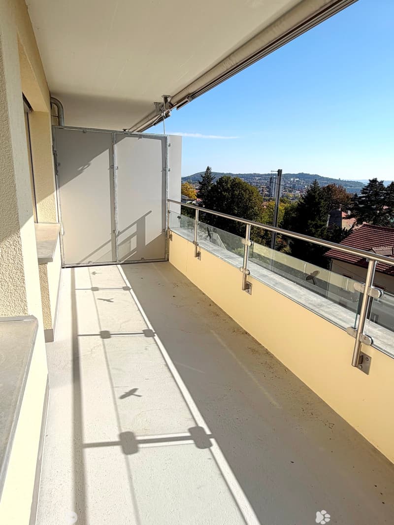 Helle 3-Zimmerwohnung mit Balkon, See- und Alpensicht in Biel (7)