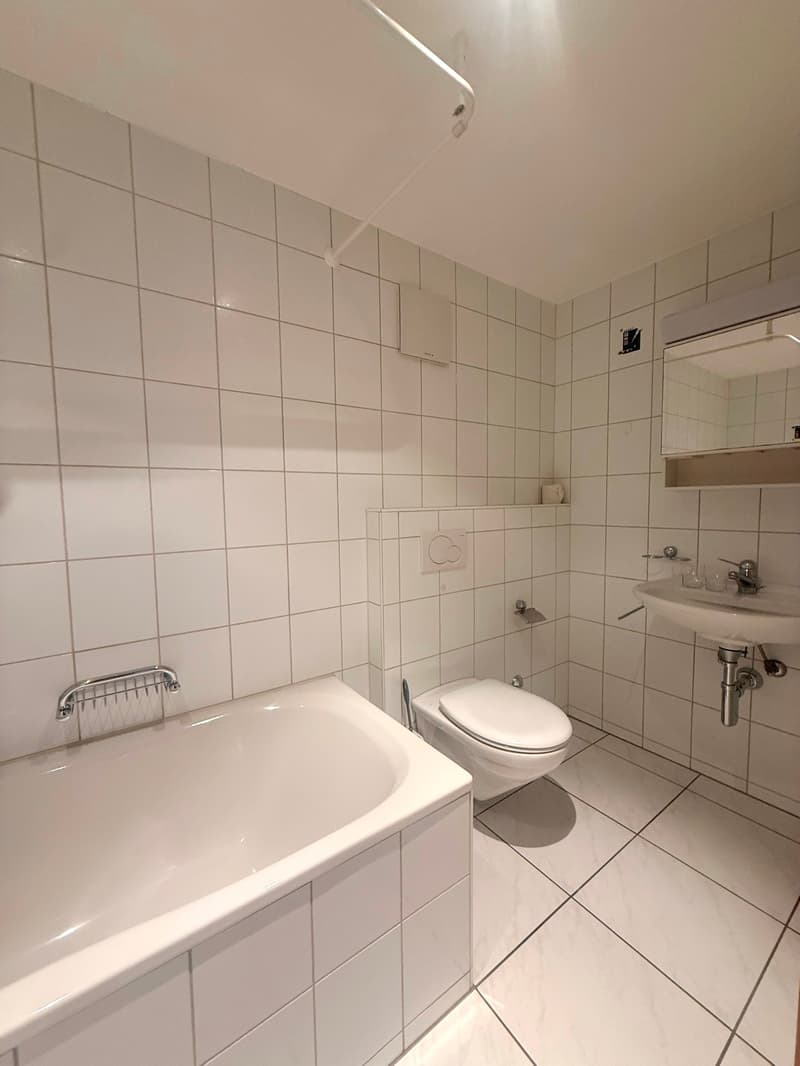 Moderne Altbau 5 1/2 Maisonette Wohnung in ehemaligen Bauernhaus (7)