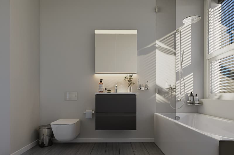 Exklusives Wohnen 2.5-Zimmer-Attikawohnung in 8967 Widen (Berikon) (5)