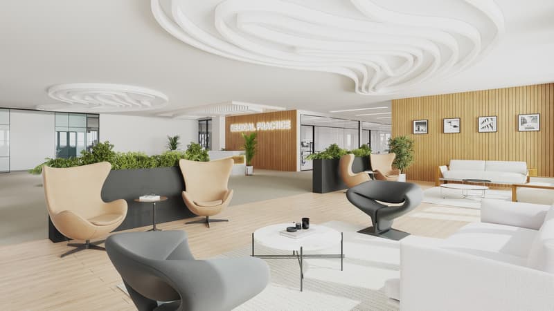 Newly Built Commercial House: Space for Ideas and Growth! (2)