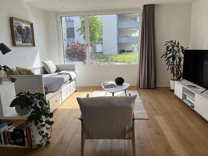 Charmante 2.5-Zimmer-Wohnung mit Stil und Wohlfühlfaktor in Rapperswil-Jona (9)