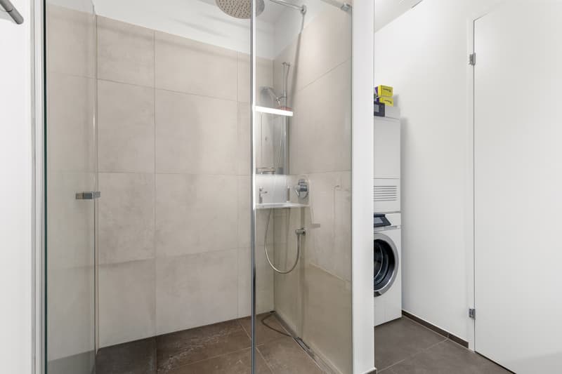 Charming 2.5-room apartment with style and comfort factor in Rapperswil-Jona (12)