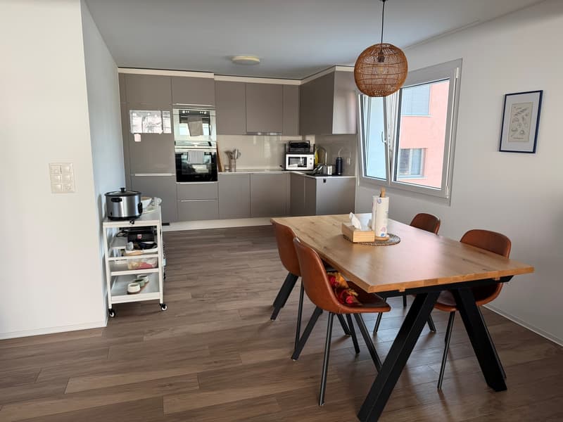Attractive 2.5-room apartment with large terrace (2)