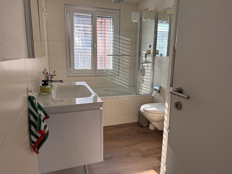 Attractive 2.5-room apartment with large terrace (5)