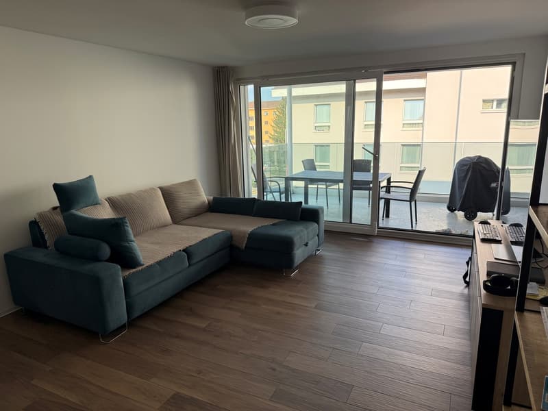 Attractive 2.5-room apartment with large terrace (1)