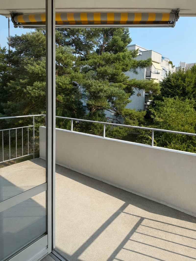 4 ½ Zimmer-Wohnung, 8127 Forch (3)