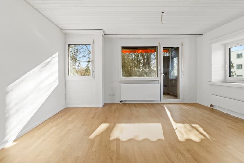 Frisch renovierte Erdgeschosswohnung (10)