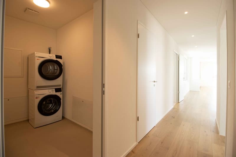 Exklusive Alterswohnungen mit Weitblick 3.5-Zimmer-Attikawohnung im Bachpark Widen (3)