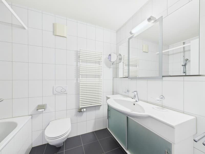 3½-Zimmer-Wohnung mit Einstellhallenplatz (9)