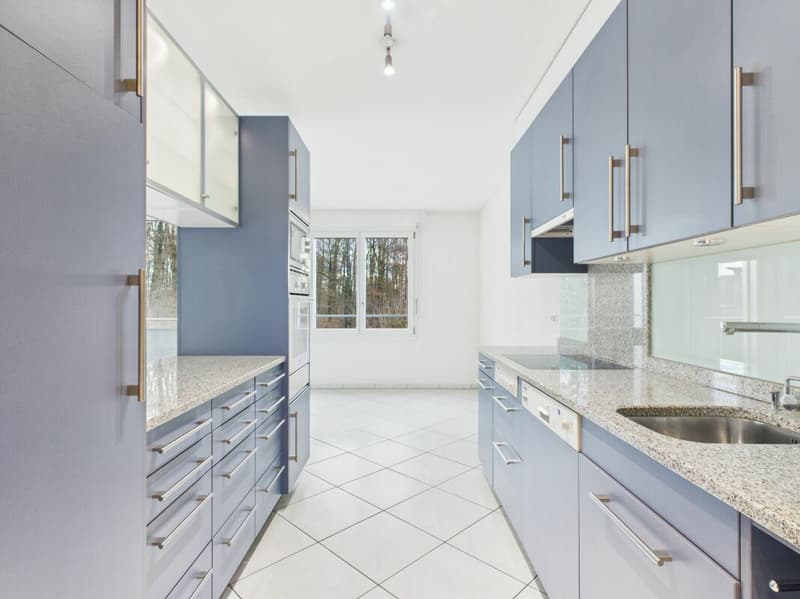 3½-Zimmer-Wohnung mit Einstellhallenplatz (6)