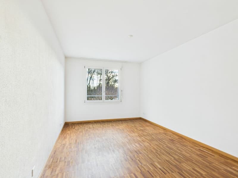 3½-Zimmer-Wohnung mit Einstellhallenplatz (7)