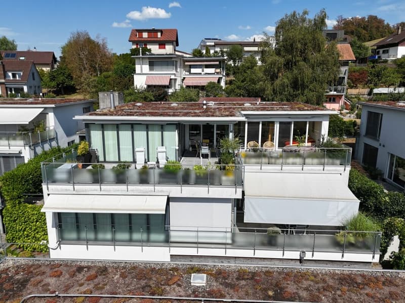 Exklusives 5½-Zimmer-Terrassenhaus mit Weitsicht (2)