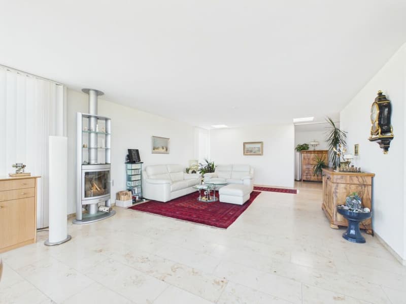 Exklusives 5½-Zimmer-Terrassenhaus mit Weitsicht (10)