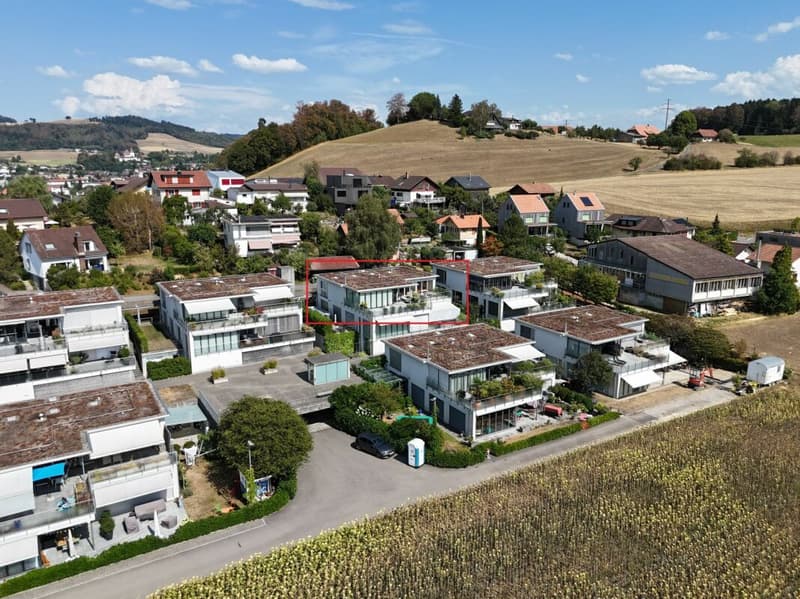 Exklusives 5½-Zimmer-Terrassenhaus mit Weitsicht (3)