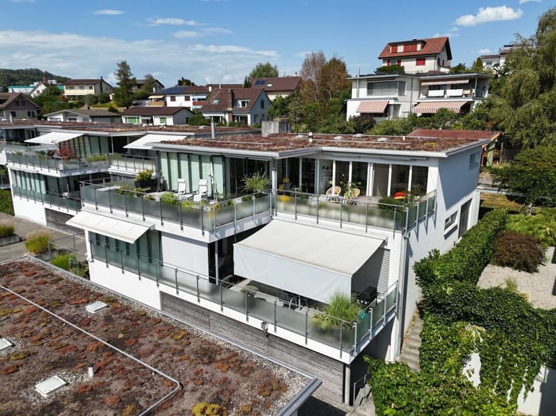 Exklusives 5½-Zimmer-Terrassenhaus mit Weitsicht (3)