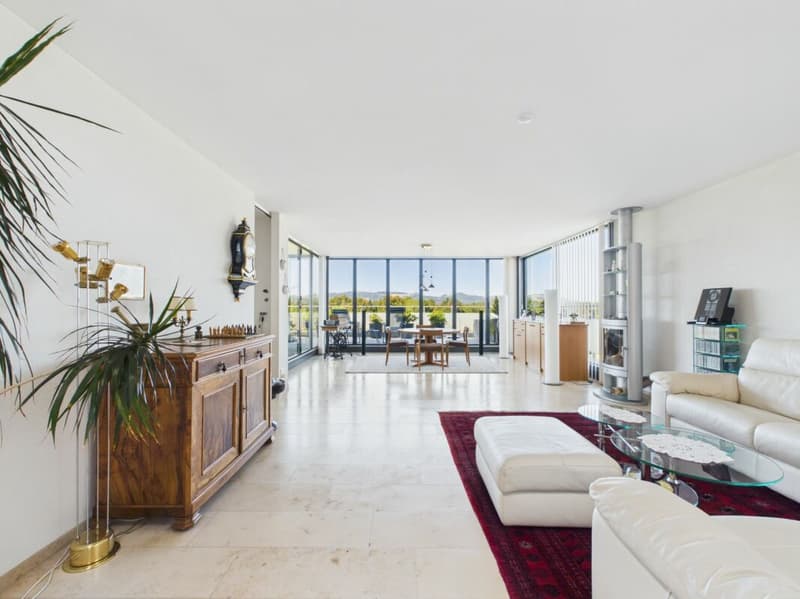 Exklusives 5½-Zimmer-Terrassenhaus mit Weitsicht (5)
