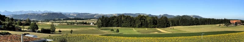 Exklusives 5½-Zimmer-Terrassenhaus mit Weitsicht (5)