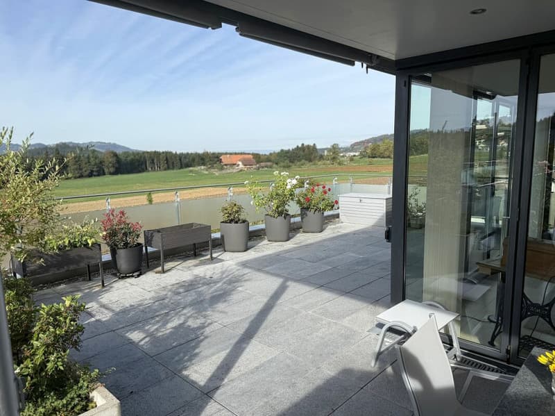 Exklusives 5½-Zimmer-Terrassenhaus mit Weitsicht (3)