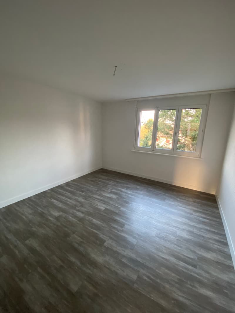 Ampio appartamento di 4.5 locali con balcone a Fleurier (4)