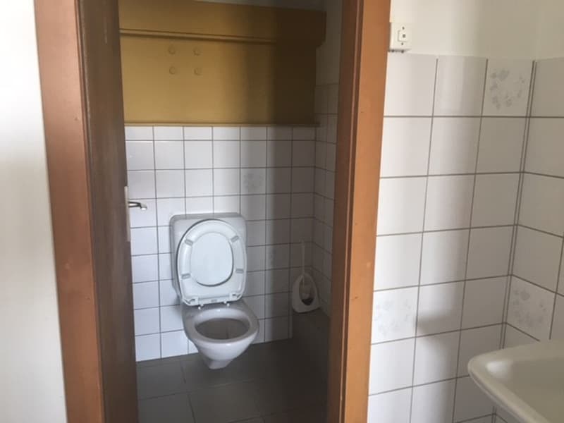 The image shows a bathroom with a white toilet and tiled walls.