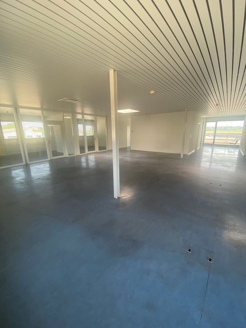 Empty commercial space, white walls, gray floor, large glass doors, no furniture visible.